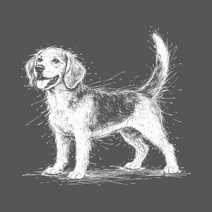 5b4adffe-b66c-4b79-ac30-2e979176c081.png