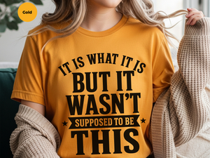 Mockup_07_It Is What It IsBut It Wasnt Supposed To Be This.png