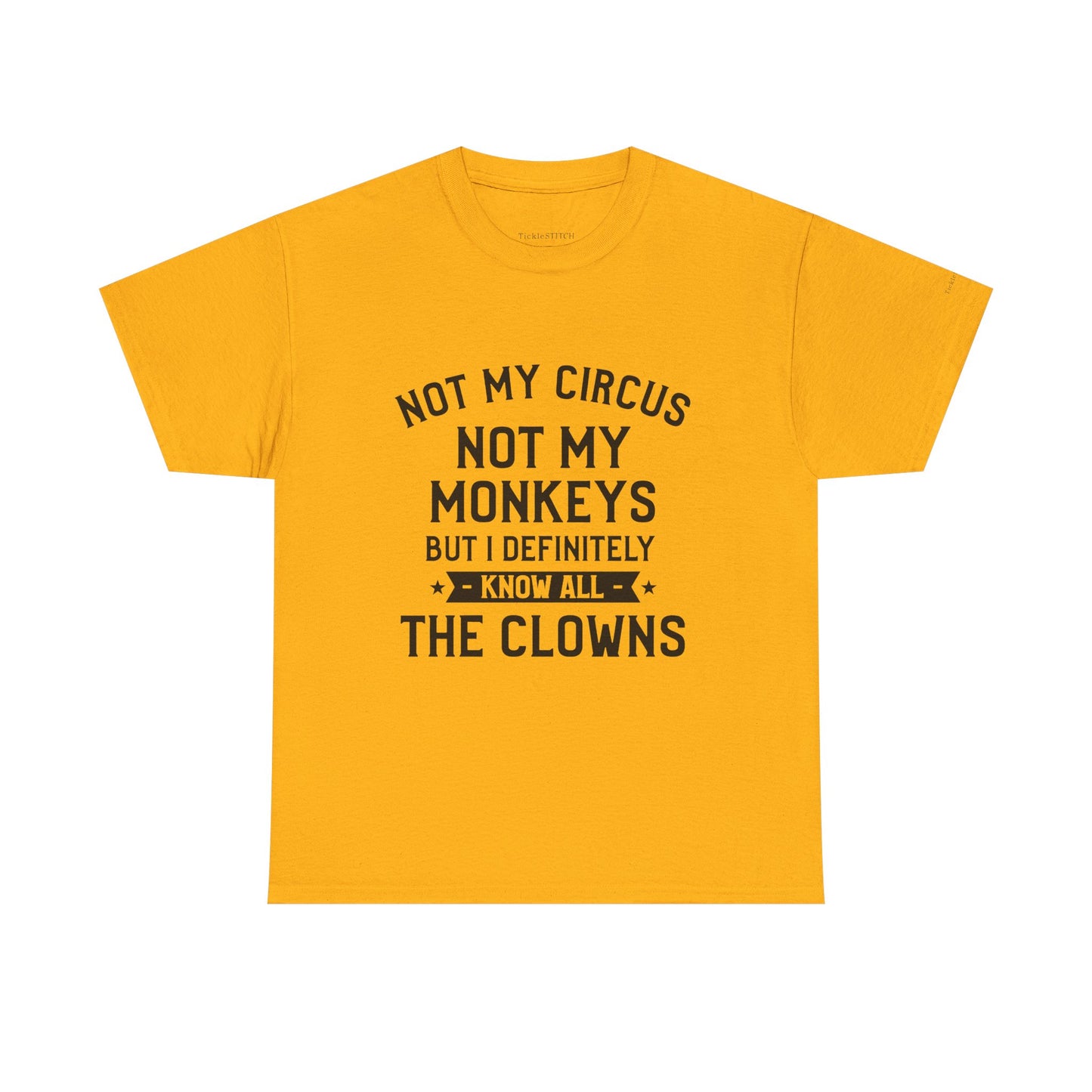 Not My Circus Not My Monkeys Know All The Clowns Funny T-Shirt