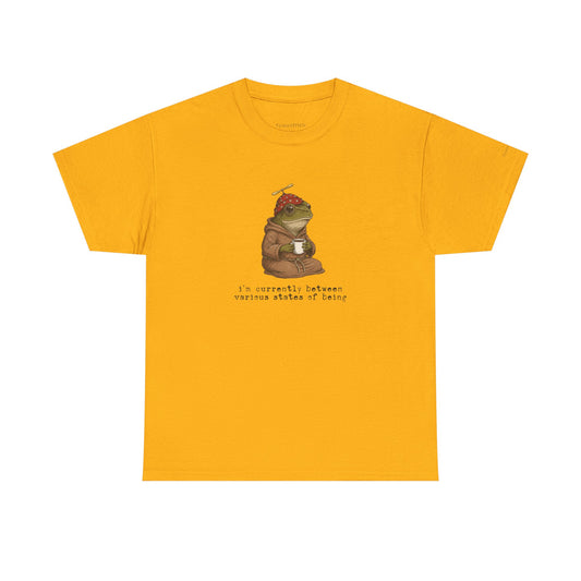 Existential Frog Between States of Being Weirdcore Absurdist Humor Tee