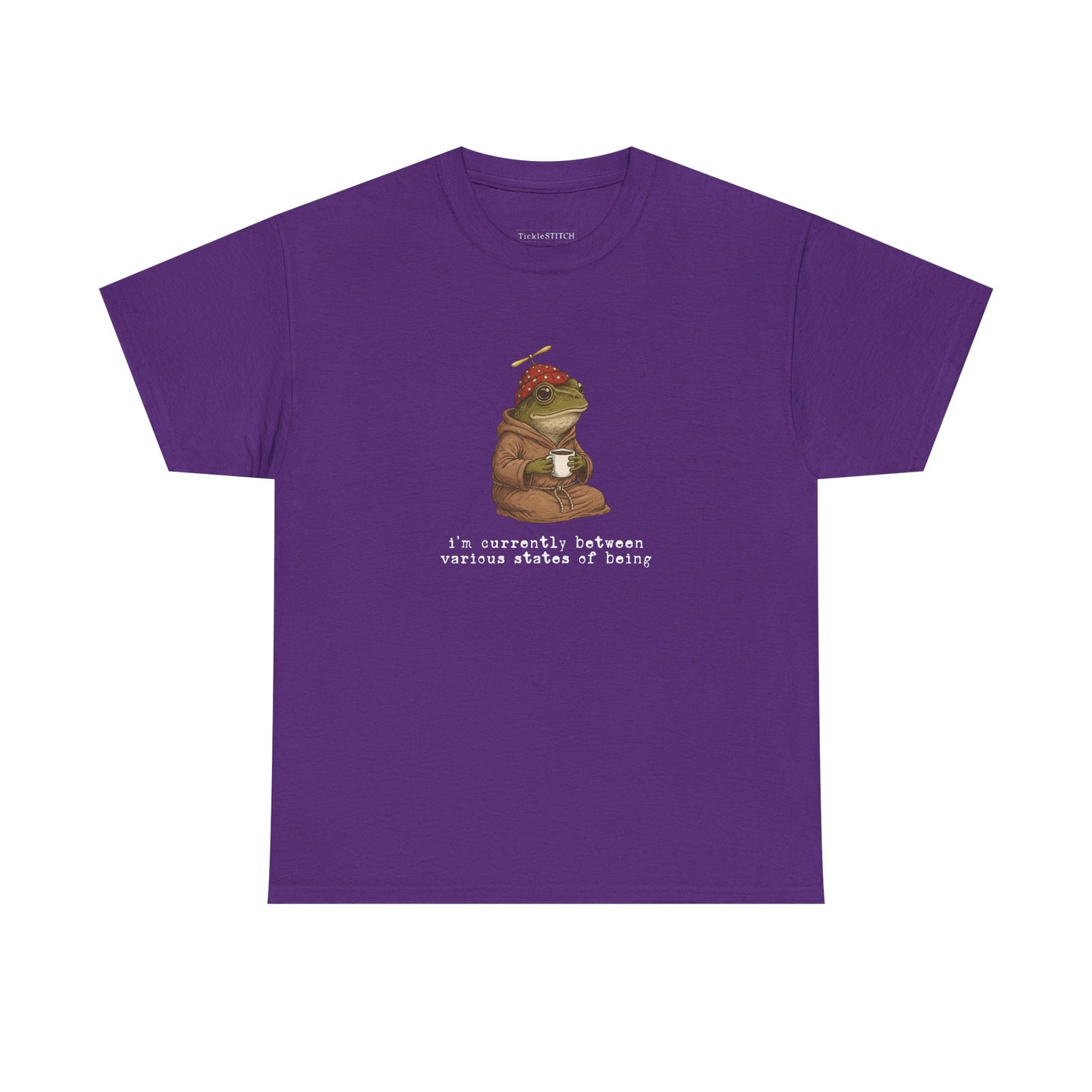 Existential Frog Between States of Being Weirdcore Absurdist Humor Tee