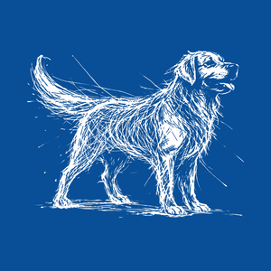 8e158e1d-a227-4756-b92f-9574742c9253.png