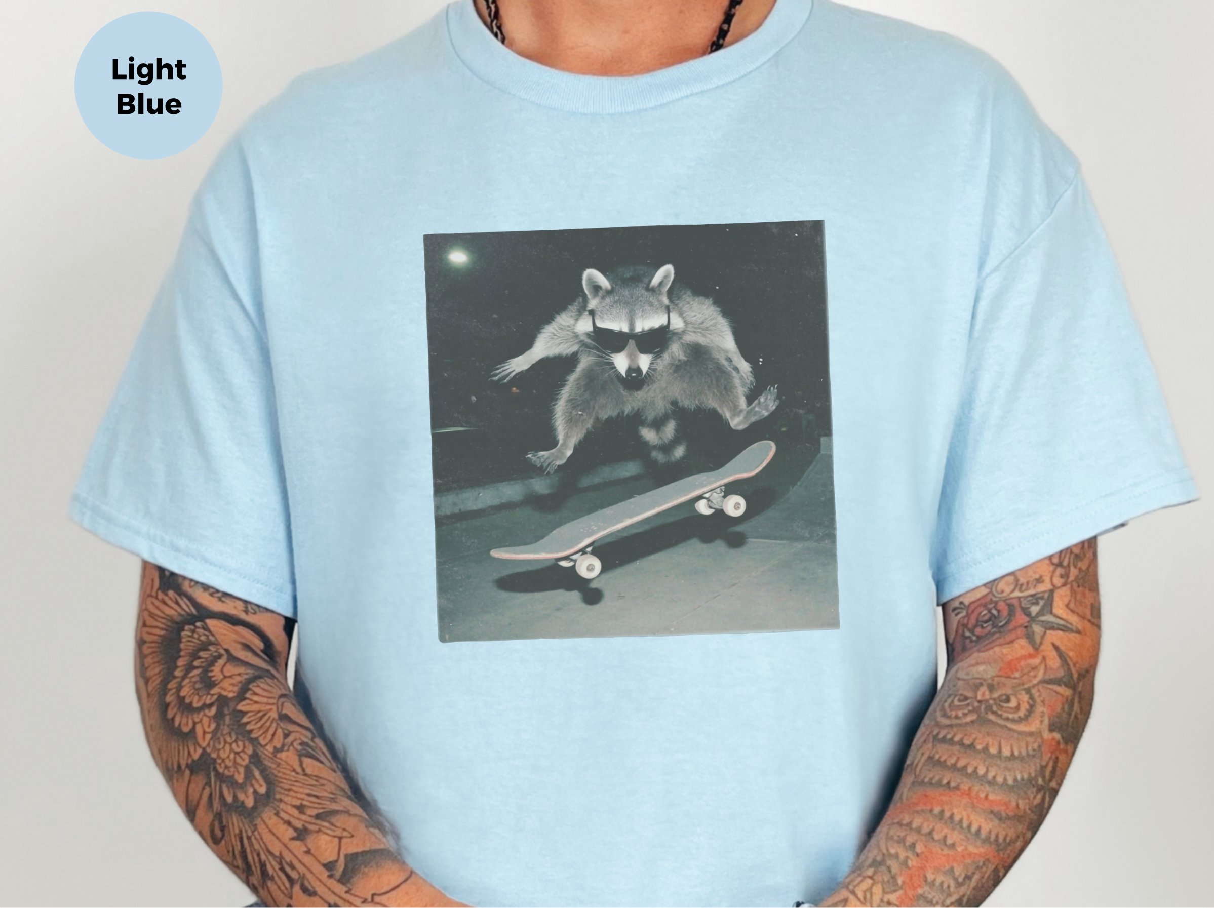 Mockup_03_Raccoon at the Skatepark.png