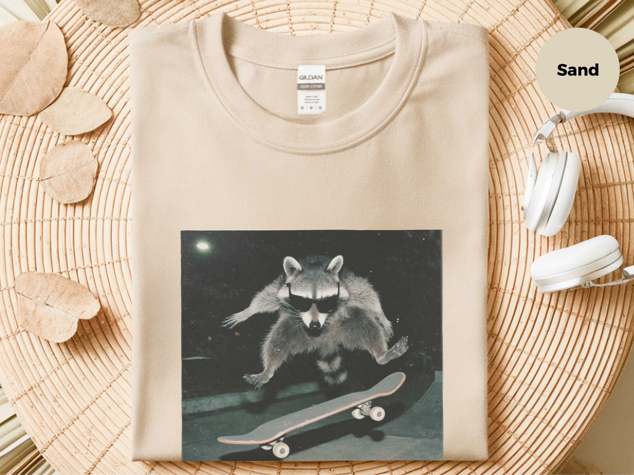 Mockup_05_Raccoon at the Skatepark.png
