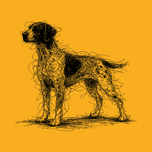 c6108f74-bd84-4237-a3d9-f7a2145d97e9.png